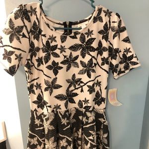 Lularoe Amelia NWT